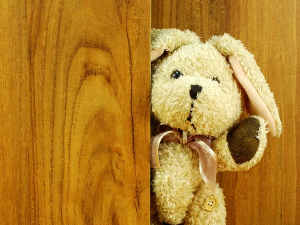 Cute rabbit doll with old wood background and space copy
