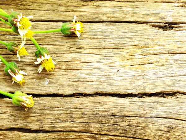 Flowers on wood texture background with copy space