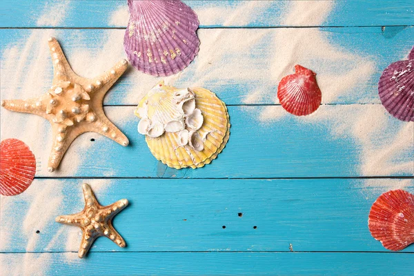 Marine summer postcard. Seashells on blue wooden boards in the sand on the beach