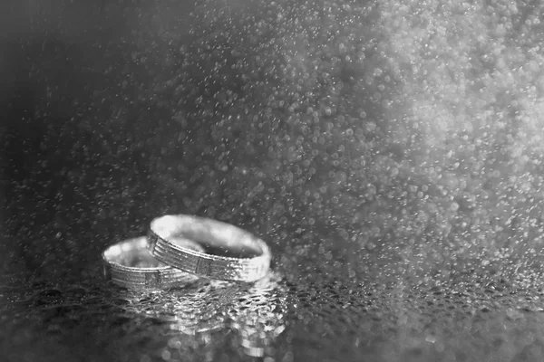 Wedding rings with rain drops closeup in black and white variant. Soft Focus.
