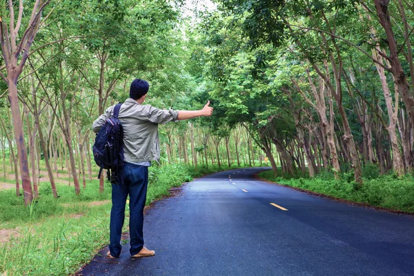 Hitchhiking tourism concept. Travel hitchhiker man carrying backpack walking on the road passes through beautiful forests.