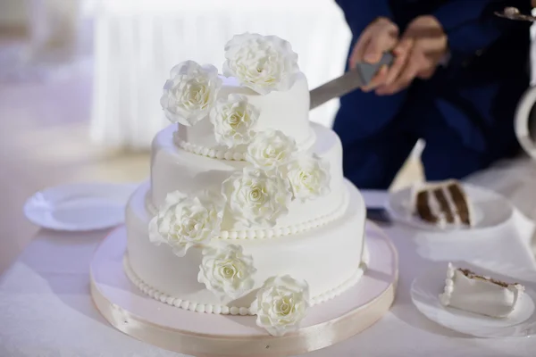 Newlyweds cut wedding cake