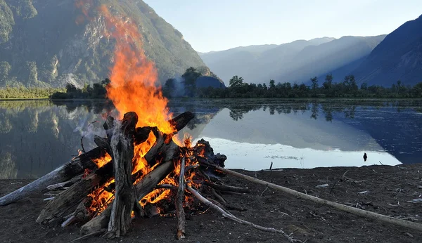 Campfire at Lake Teletskoye Altai Territory