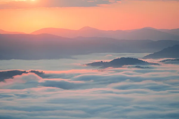Sea of clouds in mountain at sunrise. Carpathians, the ridge Bor