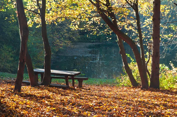 Lake in autumn forest