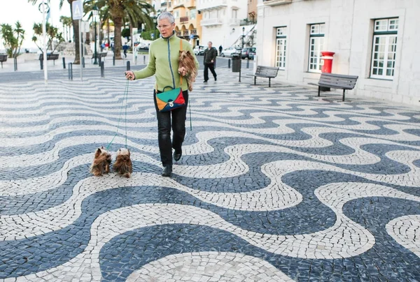 Woman walking dogs on paving street