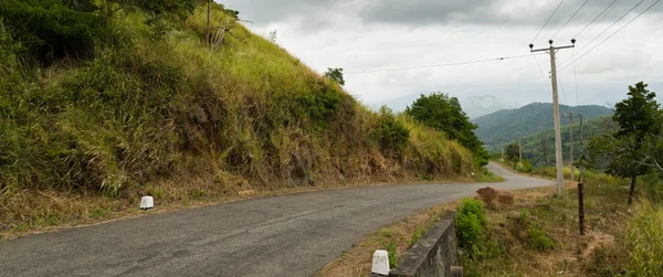 Narrow Road in Hilly Tropical Landscape