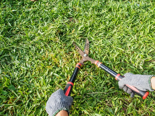 Scissor cut grass