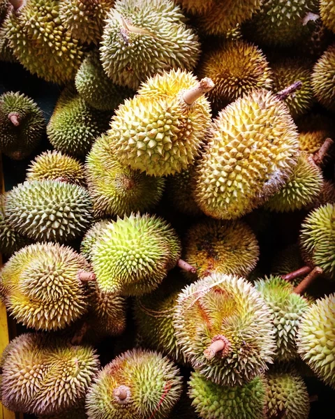 Durians at the Durian Festival 2016