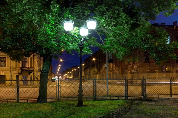 Night street light in foliage and illuminated street