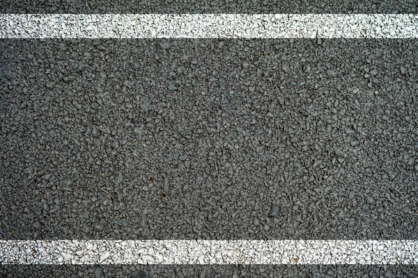 The lines on the asphalt road surface.