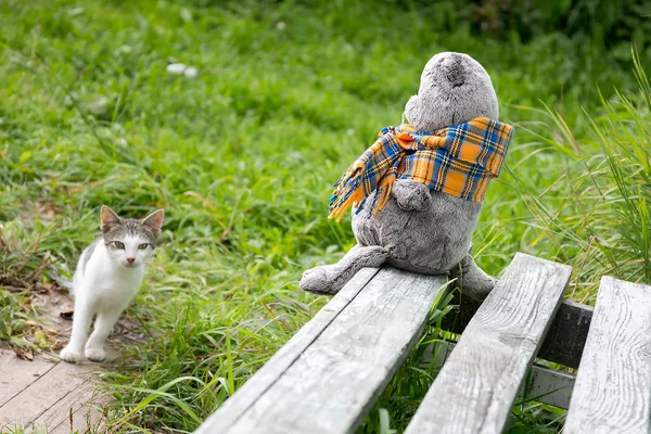 Plush toy British cat sitting on a bench