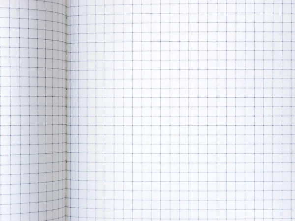 Open notebook with graph paper