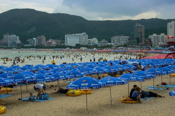 Beach in Busan, South Korea