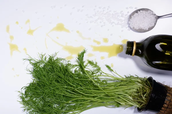 Cooking ingredients, herb and olive oil salad seasoning. Top View, white background.