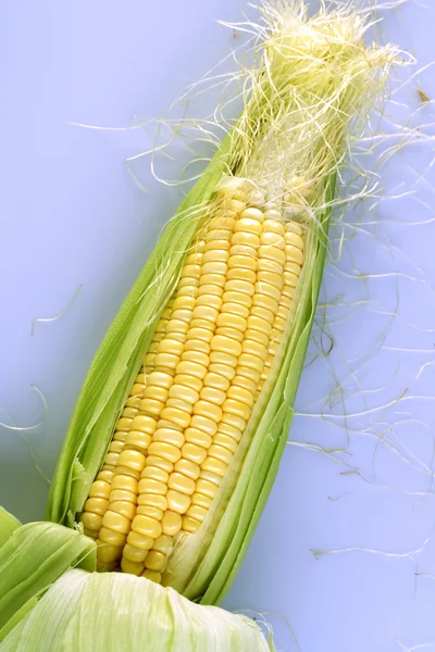 Corn on the cob isolated
