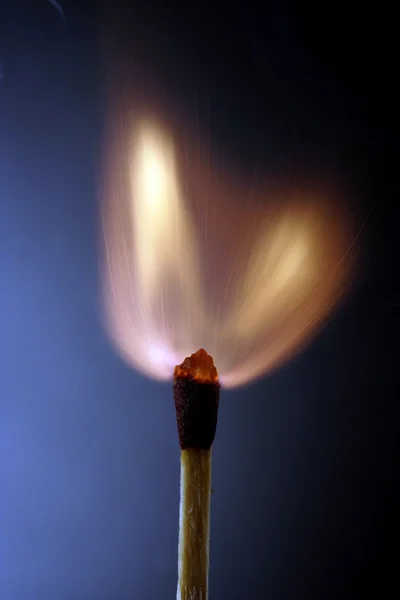 Fire on match stick