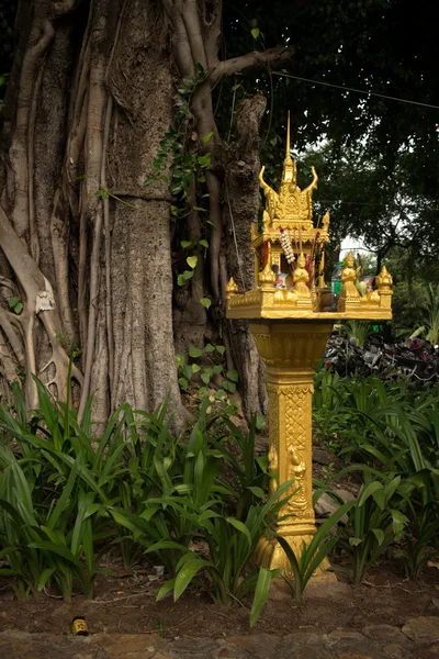Medium shot of a gold spirit house and large tree in Southeast Asia