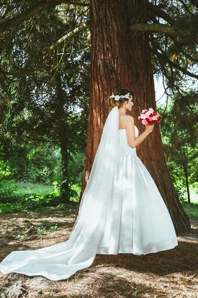 Bride with long veil standing in pine forest