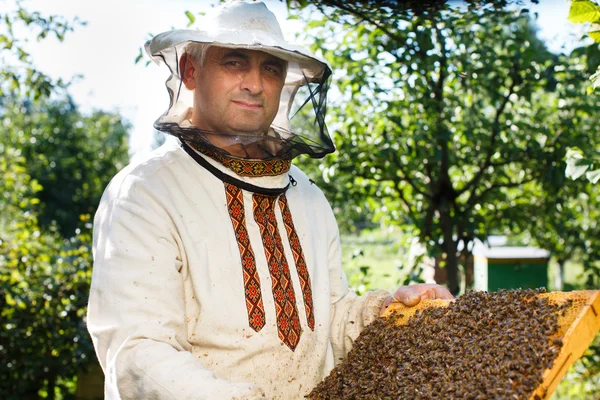 Apiarist holding frame of honeycomb