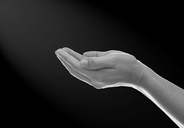 Black and white hands in prayer.