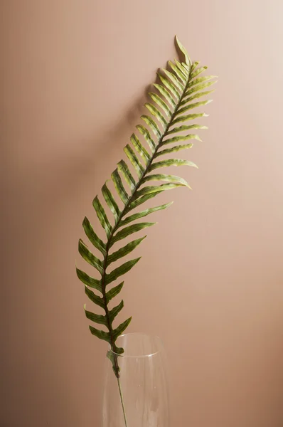 Artificial branch of fern in a glass vase