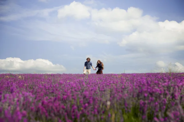 Couple in love walking on a lavender field