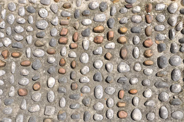 Pebble Stone On Pavement For Foot Reflexology Pathway