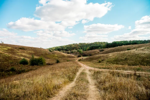 Nature of europe, ukraine