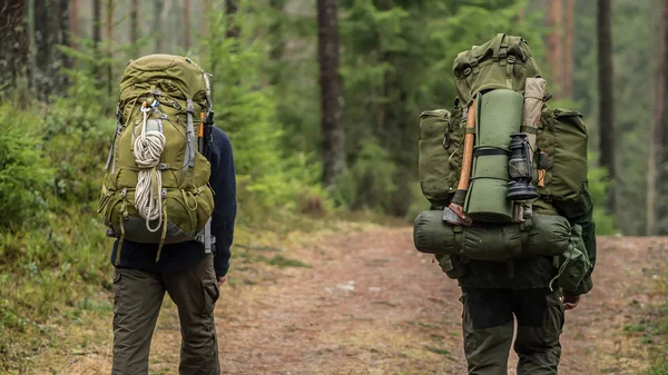 Well equipped backpacking trekkers walking along a path in a swedish forest