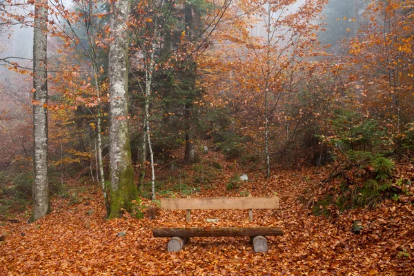 Germany, Berchtesgadener Land, autumn forest, bench