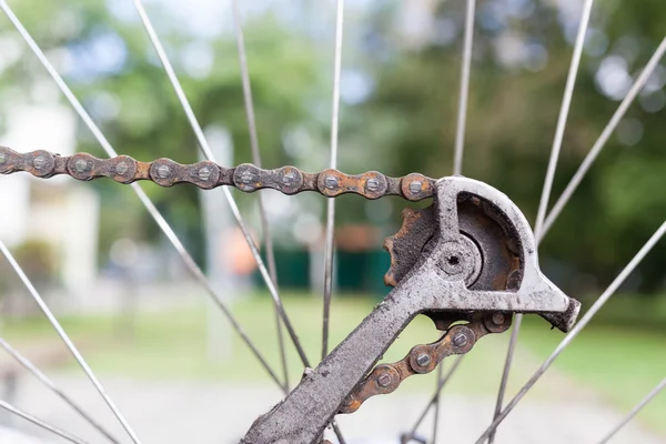 Rusty old bike chain