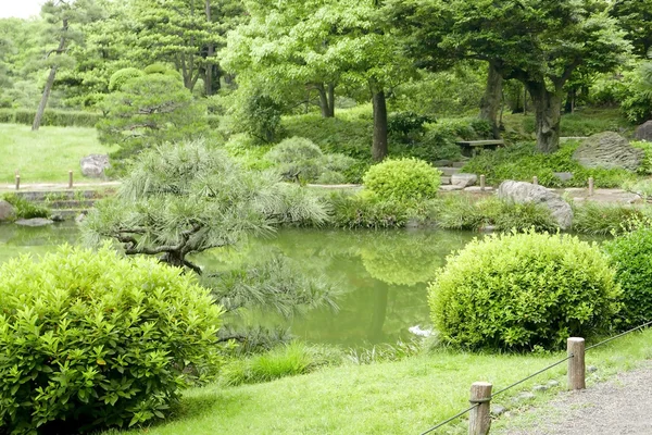 Bench, green plants, flowers, stone road and lake inzen garden