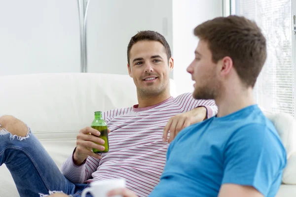 Two Men Drinking Beer At Home