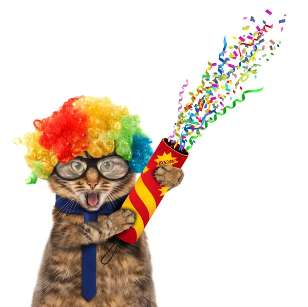 Funny cat in costume clown.