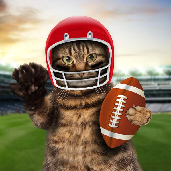 Cat playing American football.