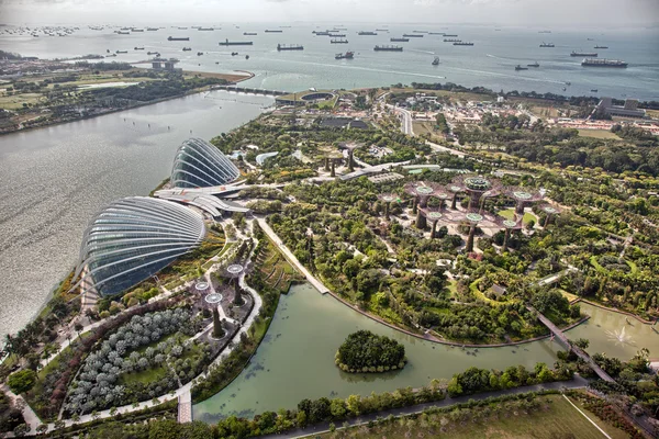 Panoramic views of the botanical gardens in Singapore