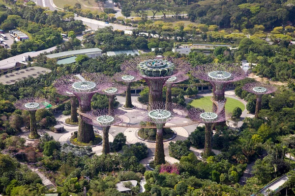 Panoramic views of the botanical gardens in Singapore