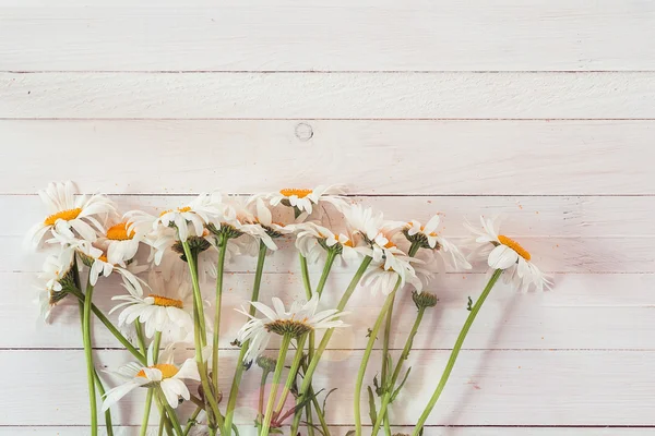 Bouquet of daisies on a background of white painted wooden plank