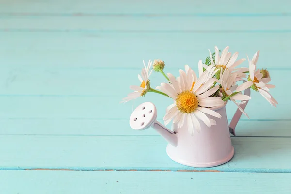 Bouquet of daisies in a white watering can on a blue wooden back