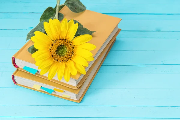 Background with sunflower and yellow book on blue wooden boards.