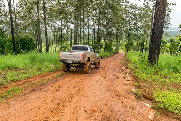 Off road pickup truck was cruising in the forest