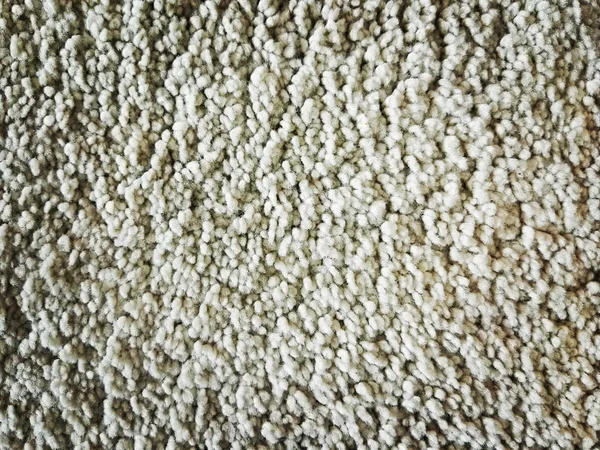 Old white carpet.
