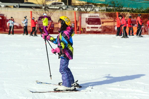 Daemyung Vivaldi Park ski resorts, attractions, famous and popul