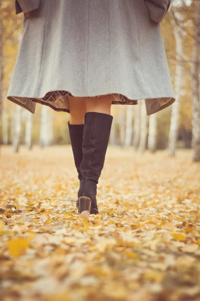 Autumn time, autumn, girl, boots, raincoat, walking on autumn trail, birch, leaves, orange, autumn leaves, rustling leaves, love fall, stepping on leaves, autumn day