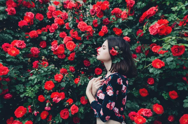 Queen rose, rose, many roses shrub roses, elegant roses, red roses, flower of love, queen of flowers, girl, young girl, beautiful girl, brunette, model, Ukrainian, luscious lips, eyes, hands, may, garden, nature, woman, teenager, wallpaper, pink for