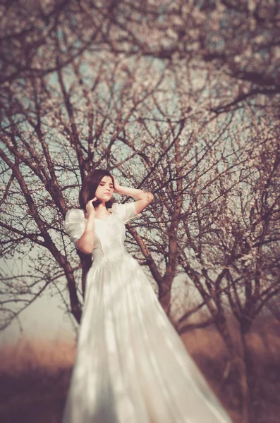 White dress, vintage, vintage items, trail, lace, long dress, spring, cherry blossoms, sun, nature, trees, cherry, girl, young lady, beautiful girl, brunette, Ukrainian, Russian, grass, love of nature