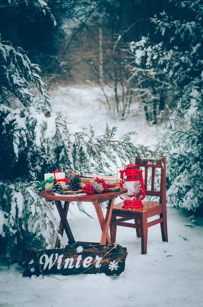 New year, pine, arborvitae, winter tree, winter garden, snow, winter, decoration for photo sessions