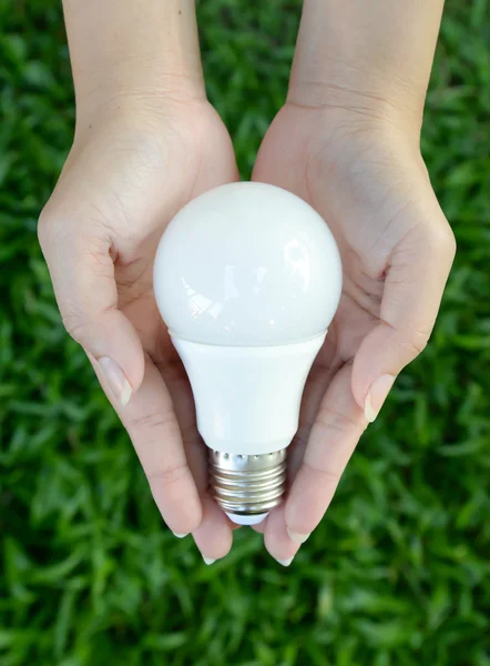 LED bulb - energy lighting in our control
