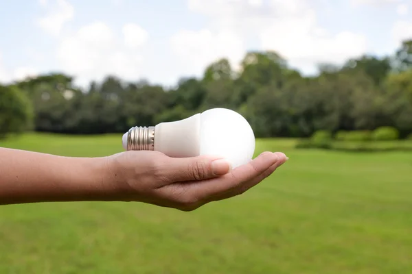 LED Bulb with lighting- The lighting Technol